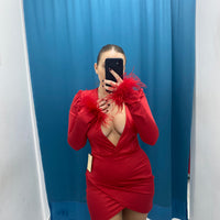 Vestito con piume 24365