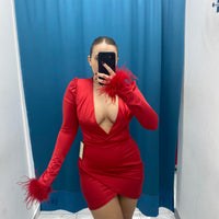 Vestito con piume 24365