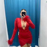 Vestito con piume 24365
