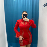 Vestito con trasparenza e piume 31215