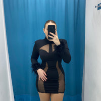 Vestito con trasparenza e piume 31215