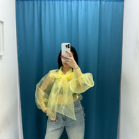 Camicia velata 045