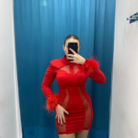 Vestito con trasparenza e piume 31215