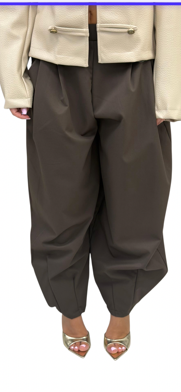 Pantalone"Pinces"-13518