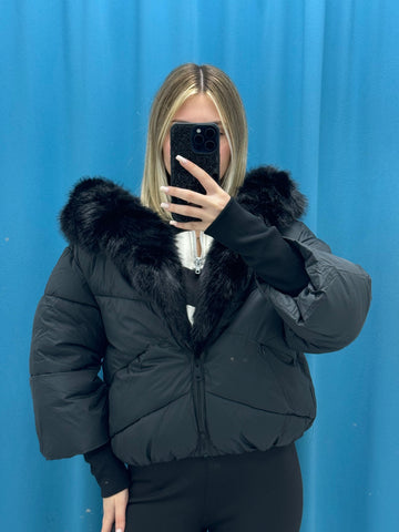 Fur Cozy - 2884